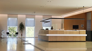 Moderner Empfangsbereich im Hörsaalzentrum der TU Bergakademie Freiberg mit hochwertiger Rezeption, Akustikdecke und großzügigen Fensterflächen – professioneller Trockenbau und Innenausbau von SF‑Ausbau.